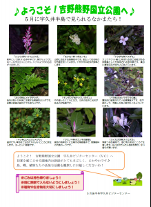 5月後半見どころ