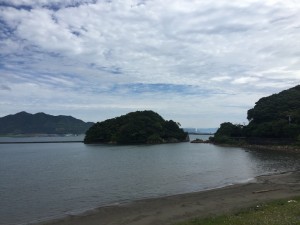 IMG_0227