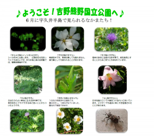 6月前