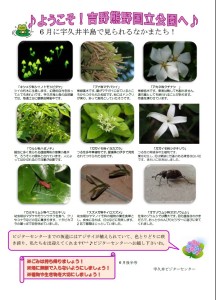 6月後半見どころ情報