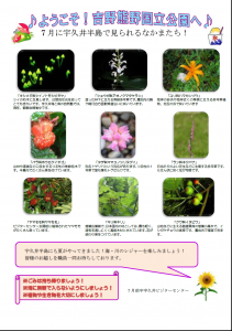見どころ７月前
