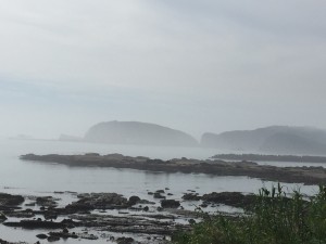 IMG_1809
