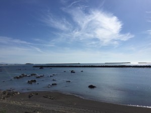 IMG_1864