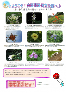 7月後半見どころ情報