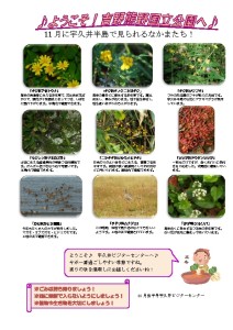 thumbnail of 201511月後半見どころ