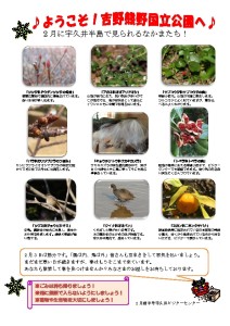 thumbnail of 201602月前半見どころ裏面