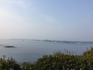 20160227 (1)