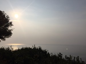 20160227 (2)