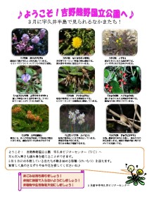 thumbnail of 201603前半見どころ裏面