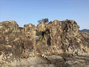 IMG_5695