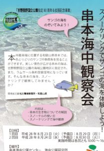 thumbnail of チラシ両面