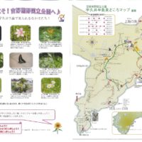 thumbnail of 2016.7月前半号