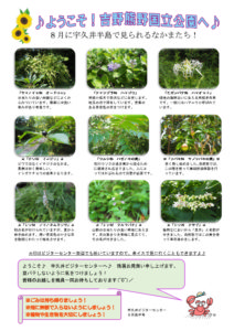 thumbnail of 201608月後半見どころ裏表