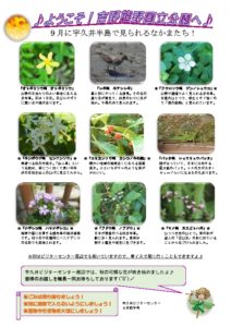 thumbnail of 201609月前半見どころ裏表