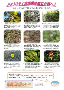 201701月後半見どころ情報裏表のサムネイル