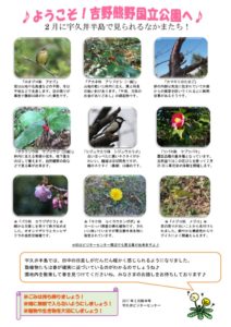 201702前半見どころ裏表のサムネイル