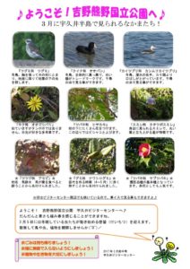 201703月前半見どころ裏表のサムネイル