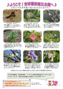 見どころ2017年4月前半号裏表のサムネイル