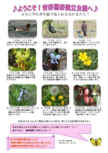 4月後半見どころ裏表のサムネイル