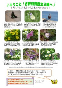 見どころ5月前半裏表のサムネイル