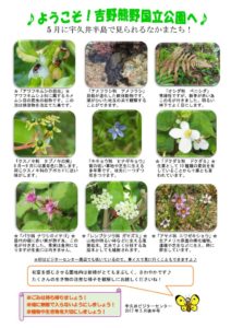 見どころ5月後半裏表のサムネイル