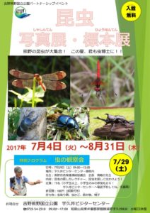 昆虫展ポスターのサムネイル