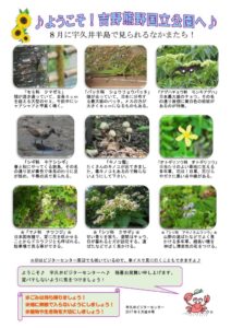201708月後半見どころのサムネイル