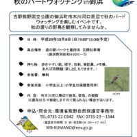 野鳥観察会チラシのサムネイル