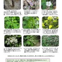 201709月前半見どころ裏表のサムネイル