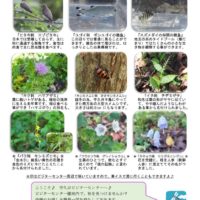 201710月前半見どころ裏表のサムネイル