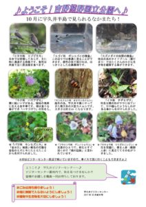 201710月前半見どころ裏表のサムネイル
