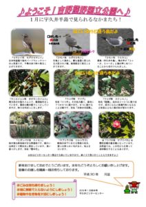 201801月前半見どころ裏表のサムネイル