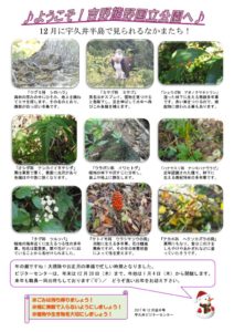 201712月後半見どころ裏表のサムネイル