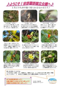 201801月後半見どころ裏表のサムネイル