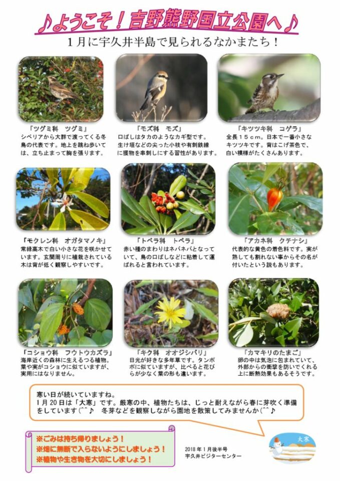 吉野熊野国立公園宇久井ビジターセンター見どころ情報 宇久井ビジターセンター