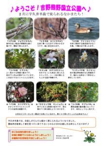 201802月後半見どころ裏表のサムネイル