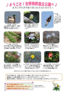 201802月前半見どころ裏表のサムネイル