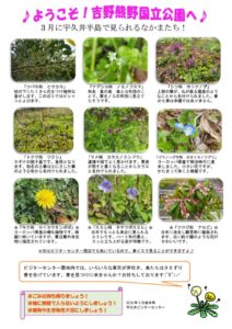 201803月後半見どころ裏表のサムネイル