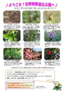 201803月前半見どころ裏表のサムネイル
