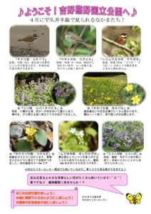 201804月後半見どころ裏表のサムネイル