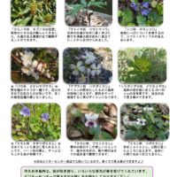 201804月前半見どころのサムネイル