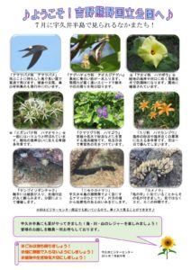 201807月前半見どころ裏表のサムネイル