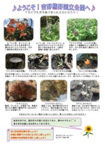 201807後半見どころ裏表のサムネイル