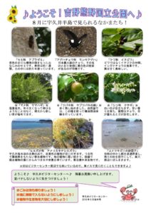 2018年8月後半見どころ裏表のサムネイル