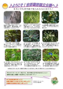 201809月前半見どころ裏表のサムネイル
