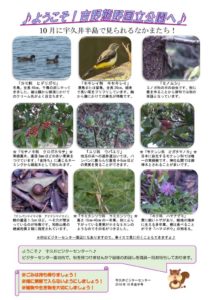 201810月後半見どころ裏表のサムネイル