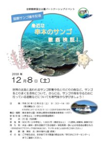 chirashi1208のサムネイル