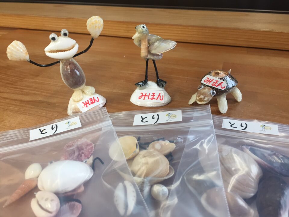 貝の置物 ホネガイ【13cm前後】 En: Murex Pecten (size:approx.13cm)