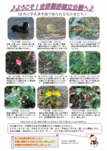 201812月後半見どころ裏表のサムネイル