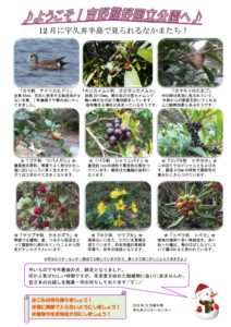 201812月前半見どころ裏表のサムネイル